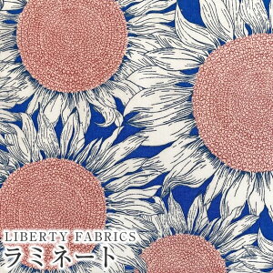 LIBERTYoeBvg C^A~l[g(rj[R[eBOn)Hello Sunshine(n[ETVC)yu[nzMATLAMI3634144-24BUs2024SS THE LIBERTY KALEIDOSCOPEt