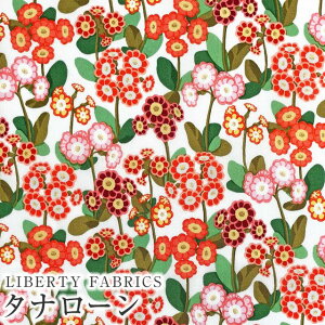 LIBERTYoeBvg C^A^i[nPrimula Park(vEp[N)yIW×sNz3634145-24BUs2024SS THE LIBERTY KALEIDOSCOPEt