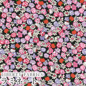 n[LeB×oeBt@ubNX LIBERTY ~l[g(rj[R[eBOn)Apple Picking(AbvsbLO)yubNnzMATLAMI-DC33497-J24C