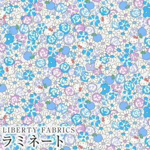 n[LeB×oeBt@ubNX LIBERTY ~l[g(rj[R[eBOn)Apple Picking(AbvsbLO)yTbNXzMATLAMI-DC33497-J24D
