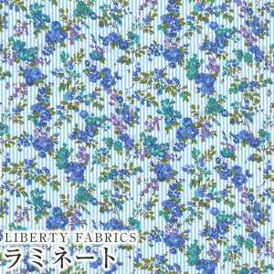 LIBERTYoeBvg Y~l[g(rj[R[eBOn)yG^[izGarland Stripe(K[hEXgCv)yTbNXXgCv×u[ԁzMATLAMI-DC33549WE