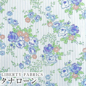 LIBERTYoeBvg Y^i[n(G^[i)Lydia Stripe(fBAEXgCv)yu[×u[ԁzDC33558XE