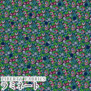 LIBERTYoeBvg Y~l[g(rj[R[eBOn)yG^[izAbasan Spot(AoTEX|bg)ybh×lCr[hbgzMATLAMI-DC33571WE