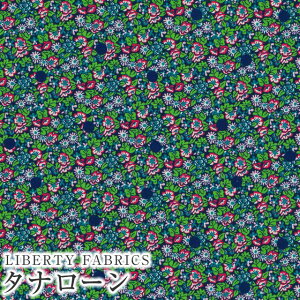 LIBERTYoeBvg Y^i[n(G^[i)Abasan Spot(AoTEX|bg)ybh×lCr[hbgzDC33571WE