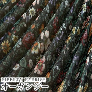 y150cm×1mJbg(v[cH)zLIBERTYoeBvg@YTCN|GXeI[KW[nRachel Meadow(C`FhD)yubNnz1m-2349022-EIE-Z