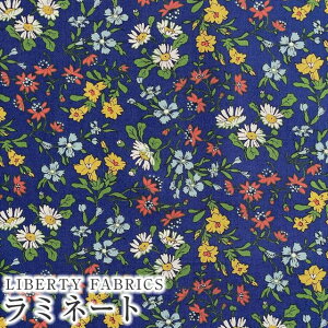 LIBERTYoeBvg Y~l[g(rj[R[eBOn)yG^[izMaria(}A)ylCr[nzMATLAMI3331131BE