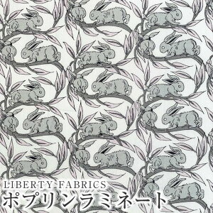 LIBERTYoeBvg YsJf[|v~l[g(rj[R[eBOn)Cotton Tail(RbgeC)yO[zMATLAMI3332262ZP