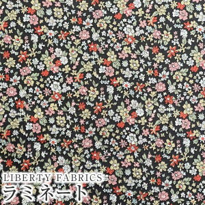 LIBERTYoeBvg Y~l[g(rj[R[eBOn)yG^[izCapucine(LvV[k)yݍn×bhzMATLAMI3335837WE