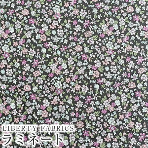 LIBERTYoeBvg Y~l[g(rj[R[eBOn)yG^[izCapucine(LvV[k)yݍn×sNzMATLAMI3335837ZE