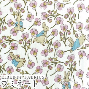 s[^[rbg(TM)×oeBt@ubNX Y~l[g(rj[R[eBOn)Ros Rabbit(XErbg)ysNzMATLAMI-DC32844-J23A