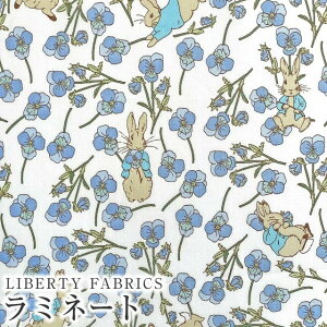 s[^[rbg(TM)×oeBt@ubNX Y~l[g(rj[R[eBOn)Ros Rabbit(XErbg)yu[zMATLAMI-DC32844-J23B