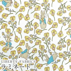 s[^[rbg(TM)×oeBt@ubNX Y~l[g(rj[R[eBOn)Ros Rabbit(XErbg)yCG[zMATLAMI-DC32844-J23C