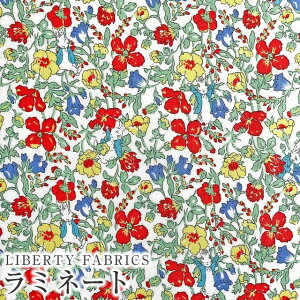 s[^[rbg(TM)×oeBt@ubNX Y~l[g(rj[R[eBOn)Peter Meadow(s[^[EhD)ybhzMATLAMI-DC32969-J23A