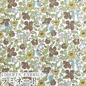 s[^[rbg(TM)×oeBt@ubNX Y~l[g(rj[R[eBOn)Peter Meadow(s[^[EhD)yJ[LzMATLAMI-DC32969-J23B