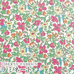 s[^[rbg(TM)×oeBt@ubNX Y~l[g(rj[R[eBOn)Peter Meadow(s[^[EhD)ysNzMATLAMI-DC32969-J23D