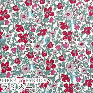 s[^[rbg(TM)×oeBt@ubNX Y~l[g(rj[R[eBOn)Peter Meadow(s[^[EhD)yCbhzMATLAMI-DC32969-J23F