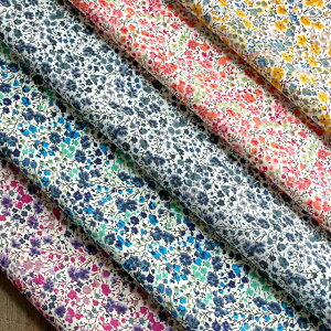 LIBERTYoeBvg Y^i[n(G^[i)JbgNXZbg5聃Phoebe(tB[r[)L-Phoebe