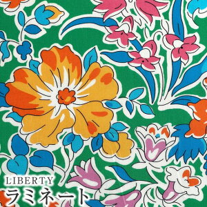 LIBERTYoeBvg Y~l[g(rj[R[eBOn)Clare Ricco(NAbR)yO[nzMATLAMI2343105-SD23Bs2023SS BEAUTY AND CHAOSt