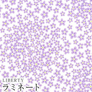 LIBERTYoeBvg Y~l[g(rj[R[eBOn)Ditsy Dot(fBbcBhbg)yp[vzMATLAMI3633106-23CTs2023SS BEAUTY AND CHAOSt