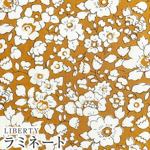 LIBERTYoeBvg Y~l[g(rj[R[eBOn)Betsy Boo(xbcBu[)y}X^[hzMATLAMI3633129-23BTs2023SS BEAUTY AND CHAOSt