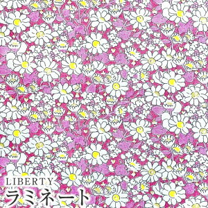 LIBERTYoeBvg Y~l[gy2023SS Neon Liberty lIoeBzAlice Neon(AXlI)yCG[lIzMATLAMI-DC32677-J23B