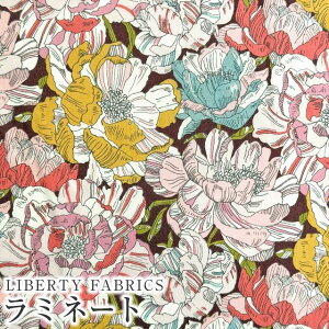 LIBERTY FABRICS リバティプリント 国産つや消しラミネート(ビニールコーティング生地)<Blackburn>(ブラックバーン)【ピンクイエロー】MATLAMI3631226AE