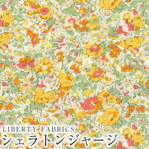 LIBERTYoeBvg YVFgW[W(^iW[W)n 60/2VClaire-Aude(NAI[h)3332022TK