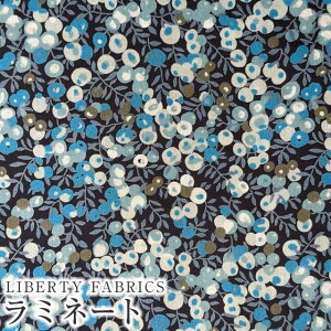 LIBERTYoeBvgE~l[g(rj[R[eBOn)Wiltshire(EBgV[)MATLAMI3339009LBE