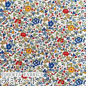 LIBERTYoeBvgE~l[g(rj[R[eBOn)Katie and Millie(PCeBEAhE~[)MATLAMI3633177LAE oeB ~l[g n