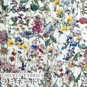 LIBERTYoeBvg Y~l[g(rj[R[eBOn)Wild Flowers(Cht[Y)MATLAMI3634251AE