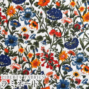 LIBERTYリバティプリント・つや消しラミネート(ビニールコーティング生地)<Rachel>(レイチェル)MATLAMI3636003AE リバティ ラミネート 生地