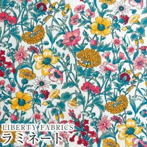 LIBERTYoeBvgE~l[g(rj[R[eBOn)Rachel(C`F)MATLAMI3636003BE oeB ~l[g n