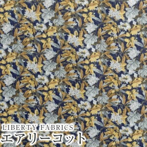 LIBERTYoeBvg YGA[RbgnIvy(ACB)yCG[×u[O[zDC28990-J24C