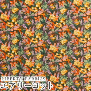 LIBERTYoeBvg YGA[RbgnIvy(ACB)yp[vt/CG[×IWzDC28990-J24D