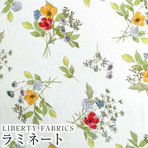 LIBERTYoeBvg Y~l[g(rj[R[eBOn)Irma's Bouquet(C}Yu[P)yzCgn×bhCG[ԁzMATLAMI-DC34397-J24G
