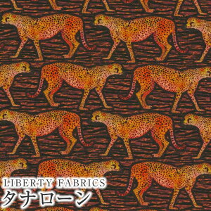 LIBERTYoeBvg C^A^i[nMeet The Cheetahs(~[gEUE`[^[Y)yCbhnz363J4210-BUs2024SS Wildsmith's Wonderful Worldt