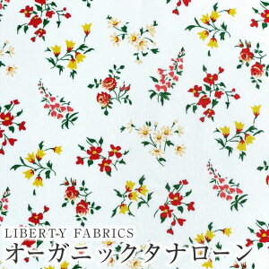 LIBERTYoeBvg C^AI[KjbN^i[nZara(U)ybh×CG[z157J906-BU