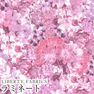 LIBERTYoeBvg Y~l[g(rj[R[eBOn)Painted Travels(yCebhgxY)ysNp[vzMATLAMI3632015-J24A