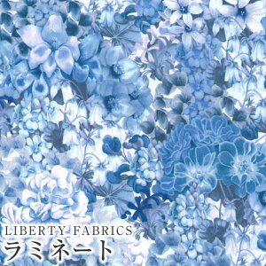 LIBERTYリバティプリント 国産つや消しラミネート(ビニールコーティング生地)<Painted Travels>(ペインテッドトラベルズ)【ブルー】MATLAMI3632015-J24D