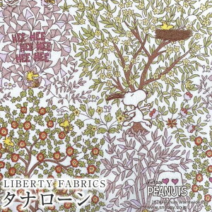 PEANUTS(TM)Xk[s[×oeBt@ubNX Y^i[nWoodstock Day(EbhXgbNEfC)yy[sN×y[O[zDC33936-J24B