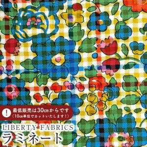 LIBERTY FABRICS ���o�e�B�v�����g �C�^���A����������~�l�[�g(�r�j�[���R�[�e�B���O���n)��Betsy Check��(�x�b�c�B�E�`�F�b�N)�y�C�G���[×�u���[�ԁz�s2026SS Floral Rebellion�tMATLAMI36361039-26CU
