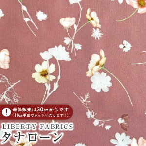 LIBERTY FABRICS oeBvg C^A^i[nNocturne(mN^[)ysNzs2025AW Decades in Bloomt363J75908-25AU