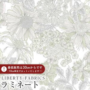 LIBERTY FABRICS oeBvg Y~l[g(rj[R[eBOn)AngelicaGarla(AWFJK[)yzCgzMATLAMI3631034-J25F