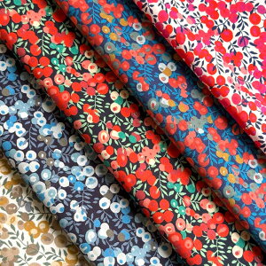 LIBERTYoeBvg Y^i[n(G^[i)JbgNXZbg5聃Wiltshire(EBgV[)L-Wiltshire