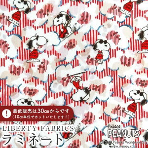 PEANUTS(TM)Xk[s[×oeBt@ubNX Y~l[g(rj[R[eBOn)Joe Cool(W[EN[)ybhzMATLAMI-DC34861-J25A