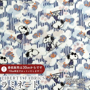 PEANUTS(TM)Xk[s[×oeBt@ubNX Y~l[g(rj[R[eBOn)Joe Cool(W[EN[)y_[Np[vzMATLAMI-DC34861-J25B