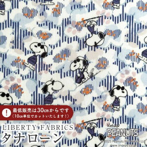 PEANUTS(TM)Xk[s[×oeBt@ubNX Y^i[nJoe Cool(W[EN[)y_[Np[vzDC34861-J25B