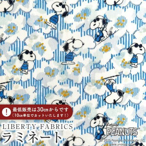 PEANUTS(TM)Xk[s[×oeBt@ubNX Y~l[g(rj[R[eBOn)Joe Cool(W[EN[)yu[zMATLAMI-DC34861-J25C