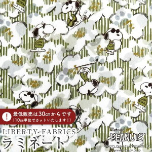 PEANUTS(TM)Xk[s[×oeBt@ubNX Y~l[g(rj[R[eBOn)Joe Cool(W[EN[)yJ[LzMATLAMI-DC34861-J25D