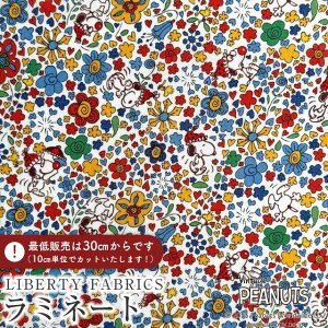 PEANUTS(TM)Xk[s[×oeBt@ubNX Y~l[g(rj[R[eBOn)Floral Delight(t[EfCg)ybhzMATLAMI-DC34862-J25A